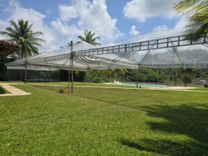 tenda instalado no jardim 12x12